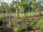 29974IMG_5374.JPG