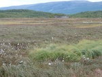 24926DSC00033.JPG