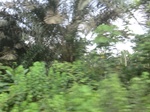 49818CIMG6155.JPG