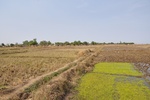 26775gounougou Lgdo Cameroon 010.jpg