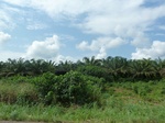 20344P1020201.JPG