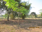 31814IMG_5394.JPG