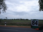 6384084c-rainfed-aggriculture-sorgum.jpg
