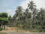27856IMG_4822.JPG
