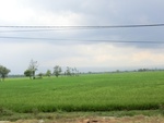 31604CIMG1470.JPG