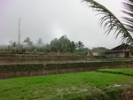 30747CIMG0587.JPG
