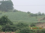 33184CIMG2422.JPG