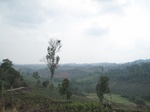 28316IMG_5130.JPG