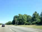 57898IMG_0859.JPG