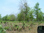 17427100_2113.JPG