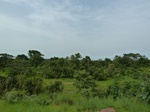 18752P1000590.JPG