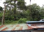 16451IMG_5236.JPG