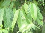 48483CIMG4820.JPG