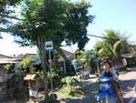 30218CIMG1752.JPG