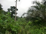 45555CIMG2640.JPG