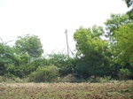 1777824042008(37).JPG