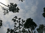 46122CIMG0411.JPG