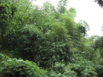 16405IMG_5190.JPG
