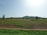 19329P1010175.JPG