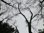 27729CIMG0048.JPG