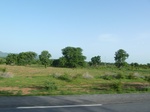 19377P1010223.JPG