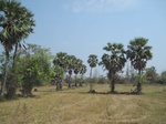 27812IMG_4704.JPG