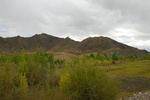 27444DSC_7235.JPG