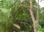 47490CIMG3827.JPG