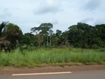 20098P1010949.JPG