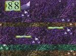 11663088-Irrigated (Surface water) cotton-a.jpg