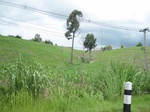 33530IMG_5780.JPG