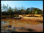 39649nEO_IMG_CIMG0417.jpg