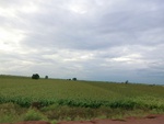56067CIMG6756.JPG
