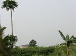 50363CIMG0992.JPG