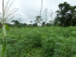 25257P1020100.JPG