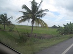 26696IMG_3328.JPG