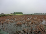 51791CIMG0028.JPG