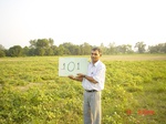 11295gt101-cropland-2.jpg