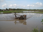 15665IMG_4737.JPG