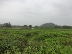 51254CIMG2947.JPG