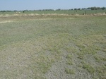 29203BUFF20110413N.JPG