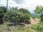 33539IMG_5805.JPG
