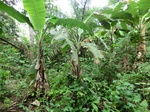 45962CIMG0251.JPG