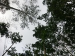 45947CIMG0236.JPG