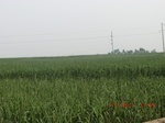 32874CIMG2008.JPG
