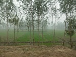 40086CIMG9150.JPG