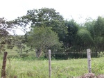 5523100_0893.JPG