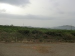 45850CIMG2935.JPG