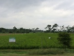 31351CIMG1213.JPG