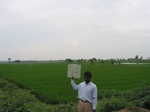 7975gt93b_cropland_rice.jpg